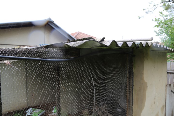 Super Six Aviary Roof