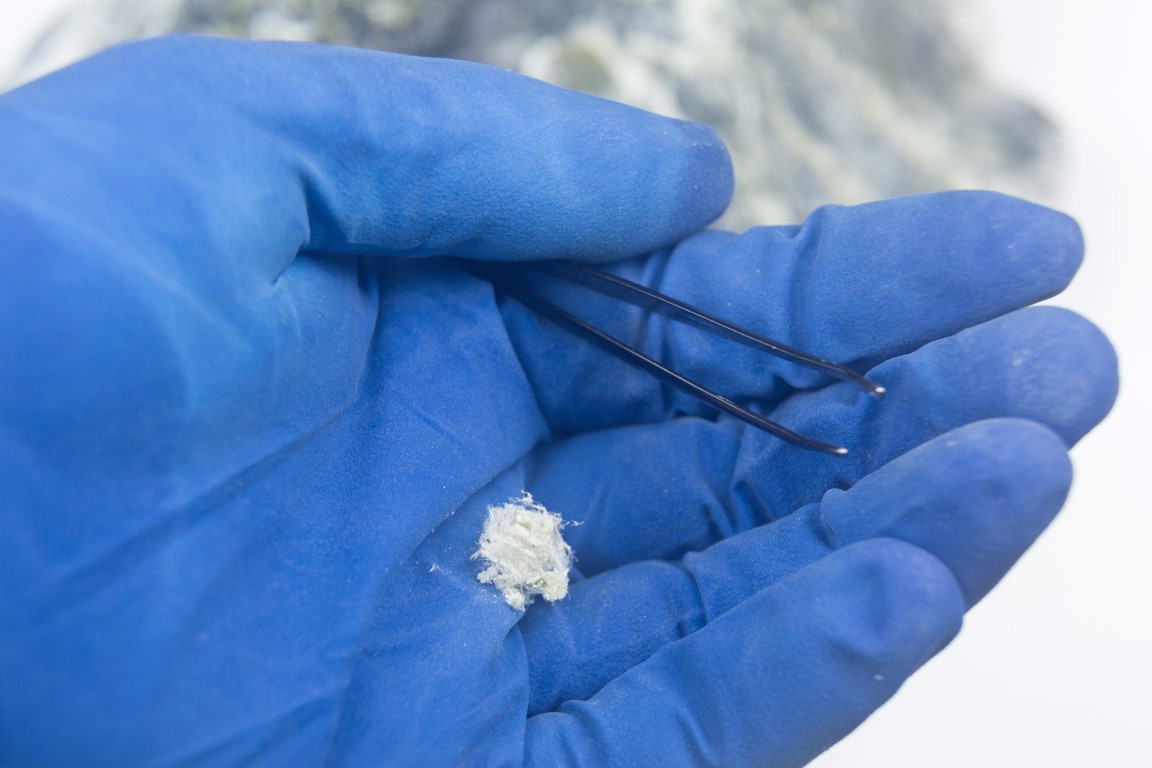 A gloved hand holding a small pile of thousands of asbestos fibres and tweezers