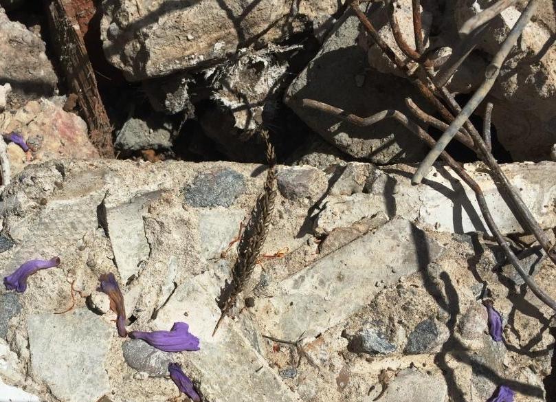 Close up of concrete that contains asbestos 