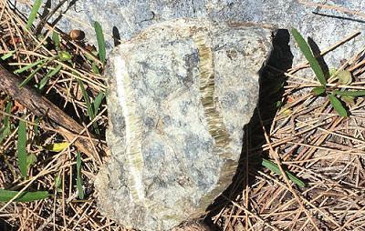 A rock on the ground with visible lines of asbestos in natural form.  